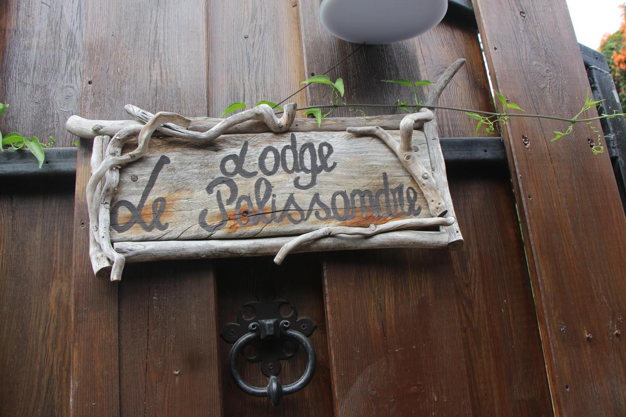 La Liane De Jade 974-Lodge Le Palissandre - Jacuzzi Privatif - Piscine Chauffee Le Bois de Nefles  エクステリア 写真