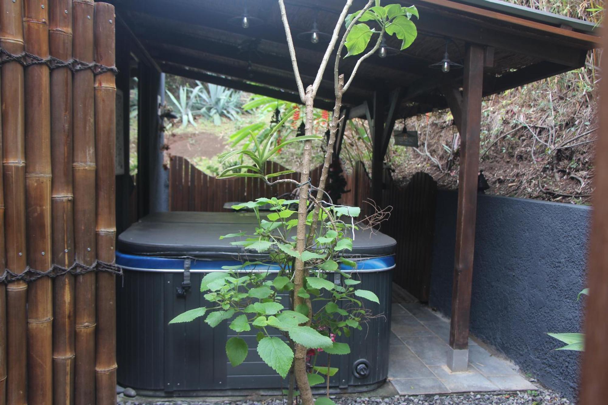 La Liane De Jade 974-Lodge Le Palissandre - Jacuzzi Privatif - Piscine Chauffee Le Bois de Nefles  エクステリア 写真
