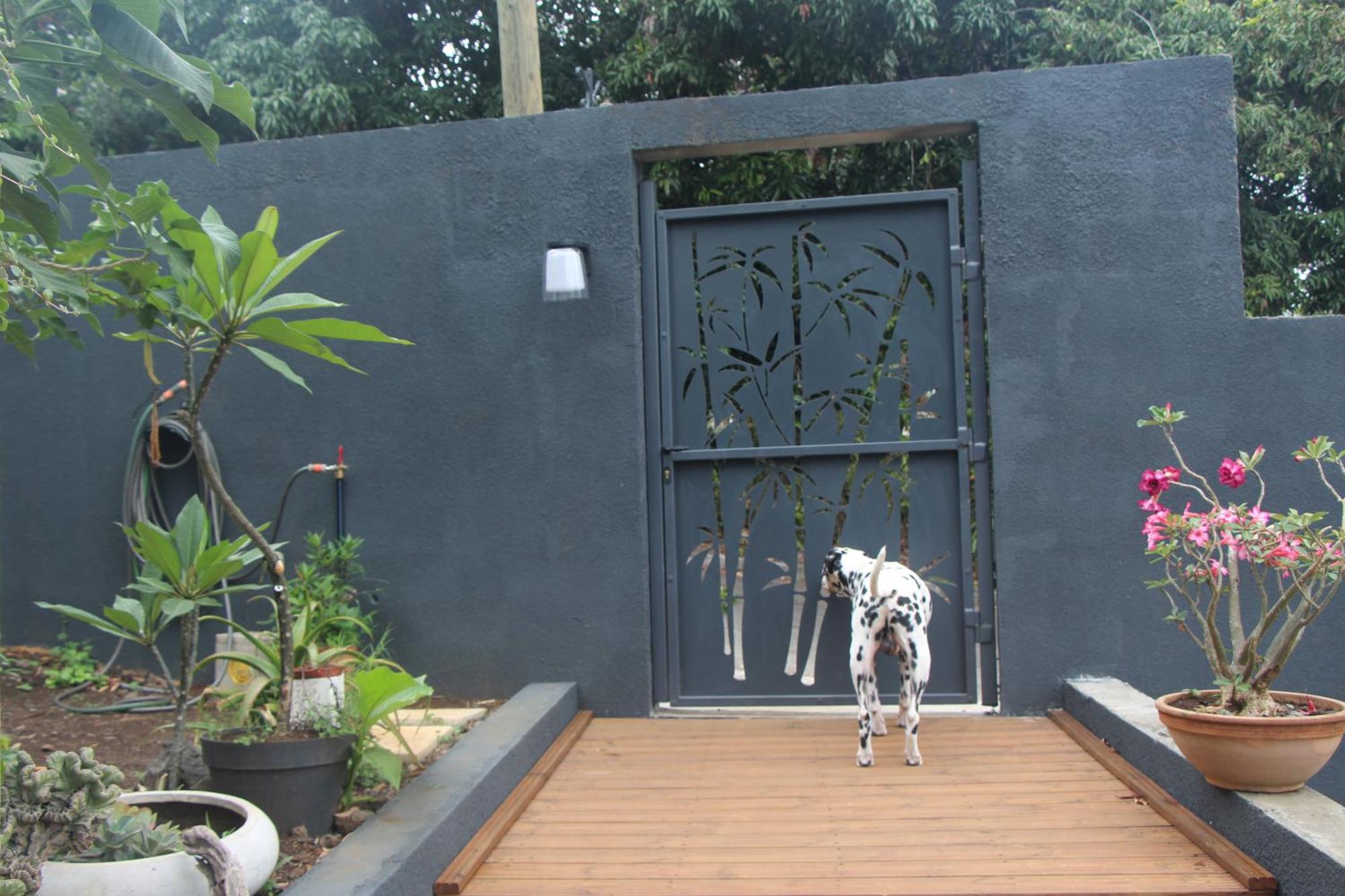 La Liane De Jade 974-Lodge Le Palissandre - Jacuzzi Privatif - Piscine Chauffee Le Bois de Nefles  エクステリア 写真