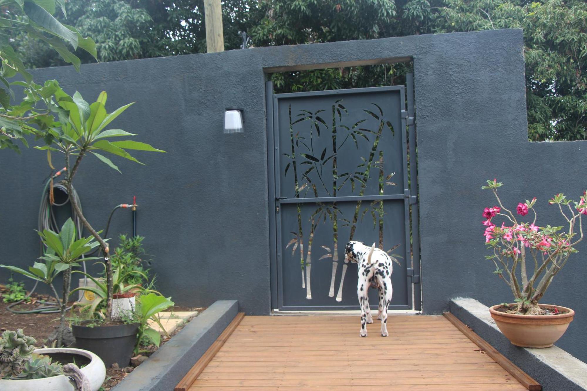 La Liane De Jade 974-Lodge Le Palissandre - Jacuzzi Privatif - Piscine Chauffee Le Bois de Nefles  エクステリア 写真