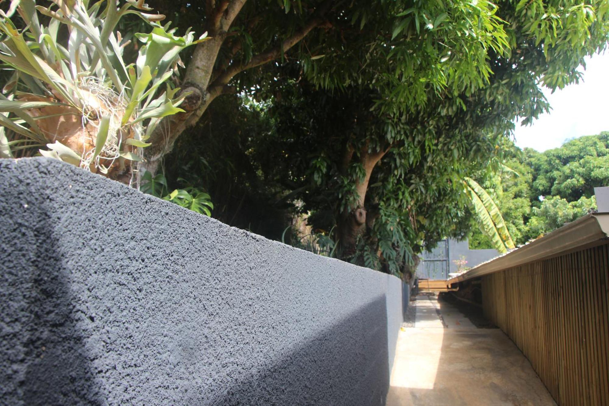 La Liane De Jade 974-Lodge Le Palissandre - Jacuzzi Privatif - Piscine Chauffee Le Bois de Nefles  エクステリア 写真